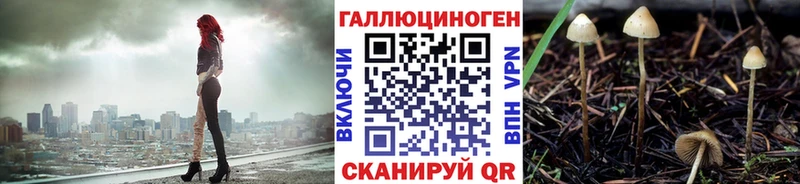 Галлюциногенные грибы Cubensis наркотики Пятигорск